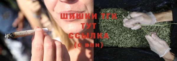 трава Богданович