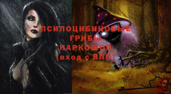 ГАЛЛЮЦИНОГЕННЫЕ ГРИБЫ Богородицк
