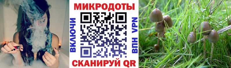 Галлюциногенные грибы мухоморы  как найти закладки  Бугульма 